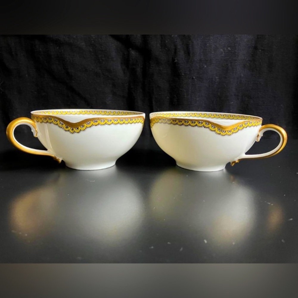 Beautiful Haviland Limoges Cups Set of 2